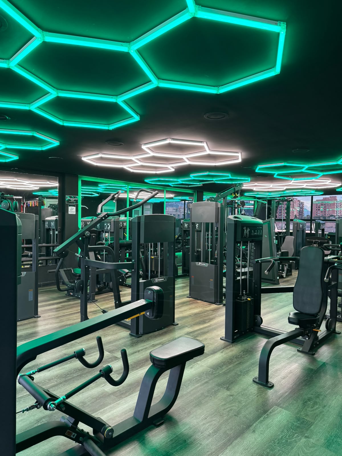 Área de pesas y racks en BlessFit
